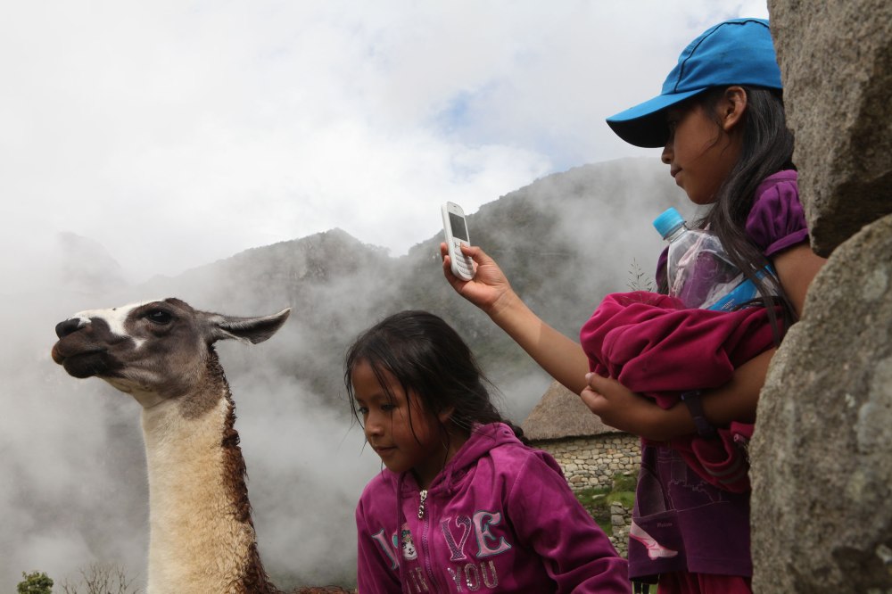 A tourist child takes cell phone photos of a llama at Machu Picchu. And No - she didn't take any selfies with them that I saw. Photo: Alex Washburn